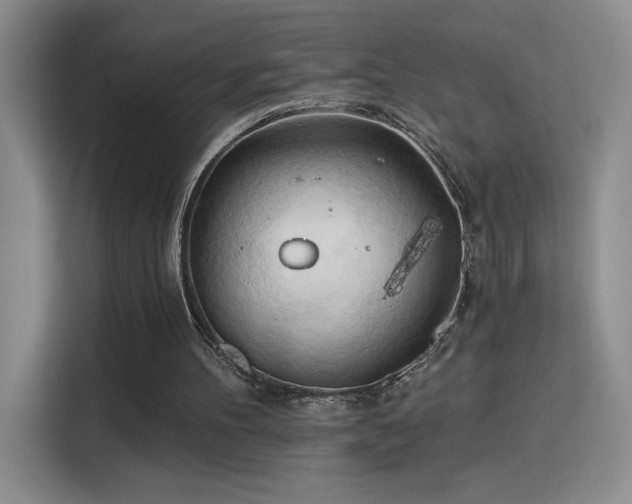 X0000115790100200911201340