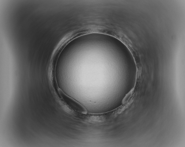 X0000115790101200911201340