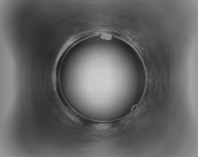 X0000115790102200911201340