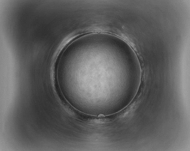 X0000115790103200911201340