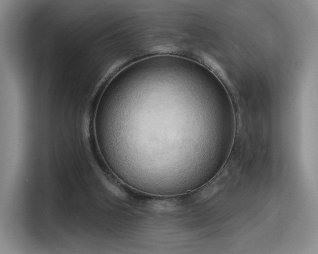 X0000115790106200911201340