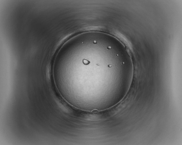 X0000115790107200911201340