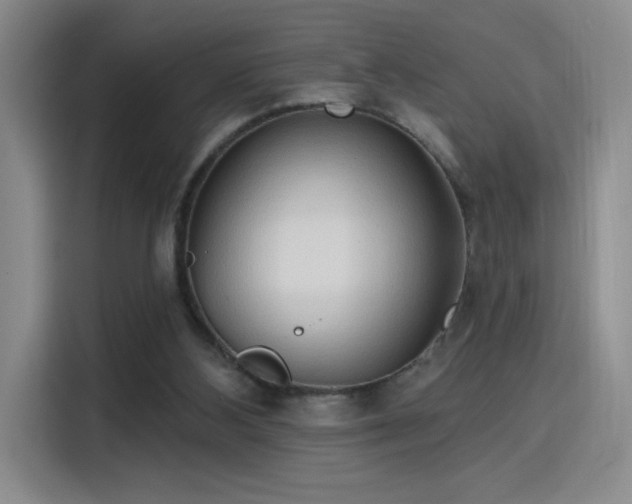 X0000115790108200911201340