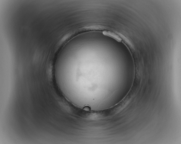 X0000115790111200911201340