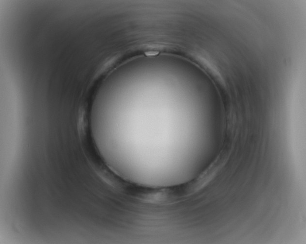 X0000115790116200911201340