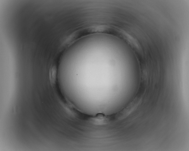 X0000115790118200911201340