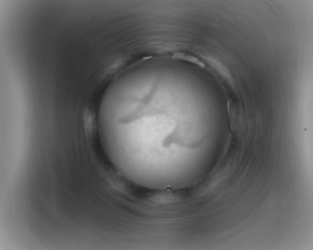 X0000115790123200911201340