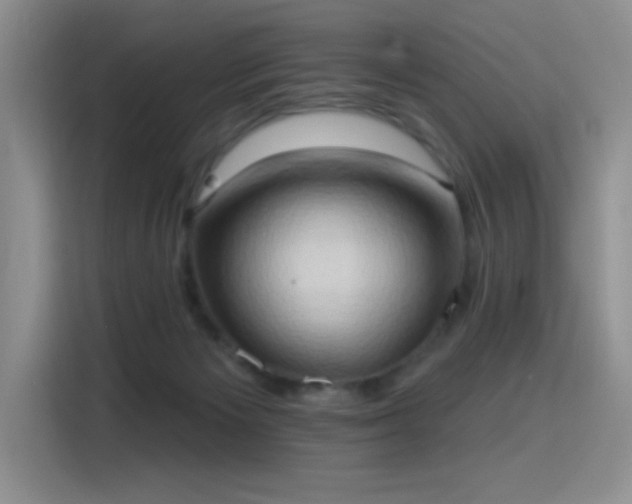 X0000115790125200911201340