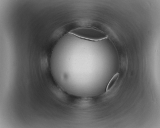 X0000115790128200911201339