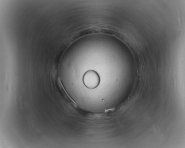 X0000115790129200911201339