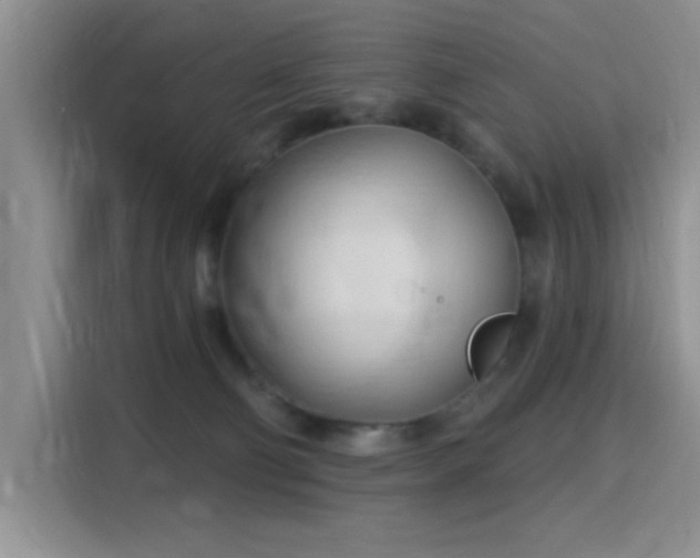 X0000115790130200911201339