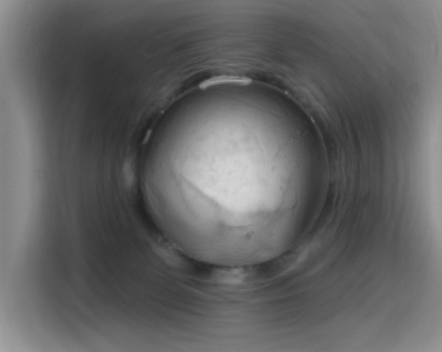 X0000115790131200911201339