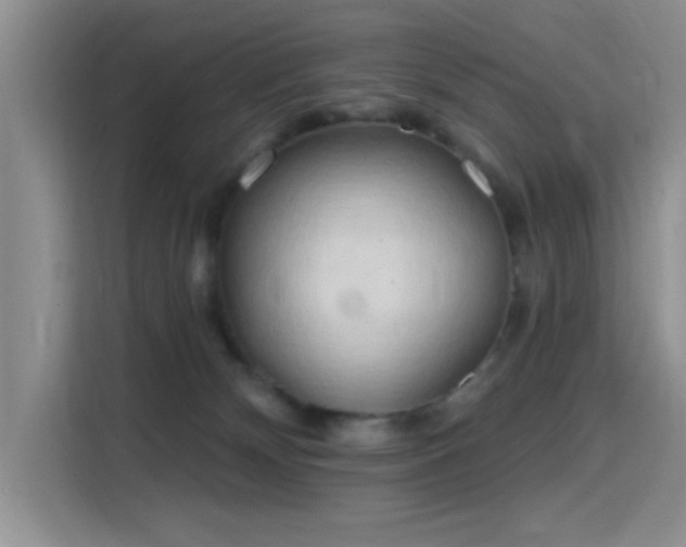 X0000115790132200911201339