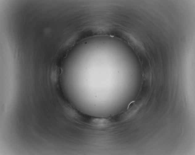 X0000115790133200911201339