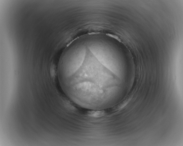 X0000115790135200911201339