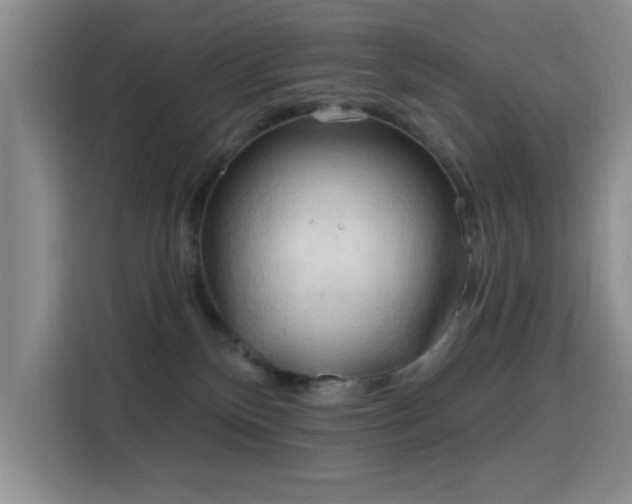 X0000115790136200911201339