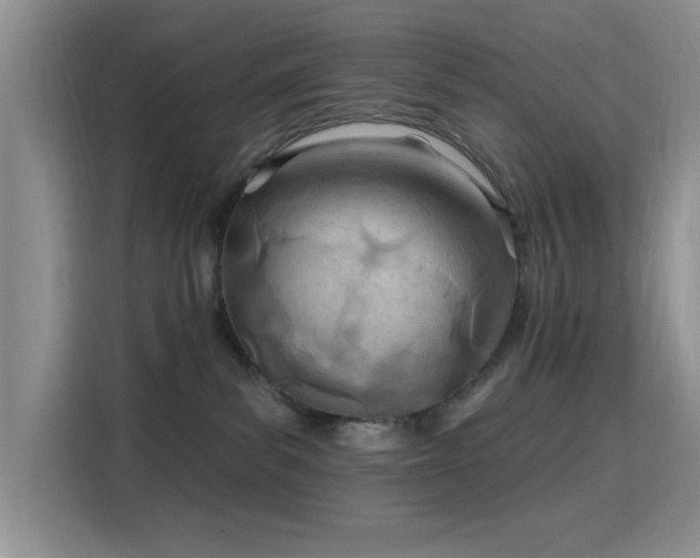 X0000115790139200911201339