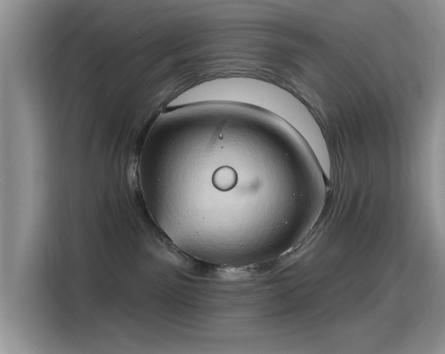 X0000115790141200911201339