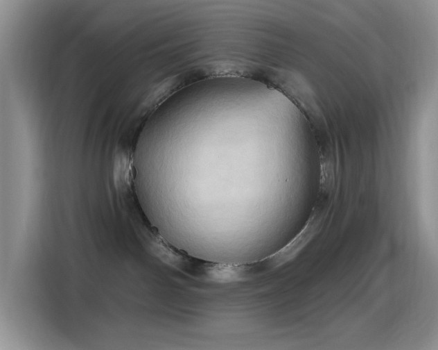 X0000115790142200911201339