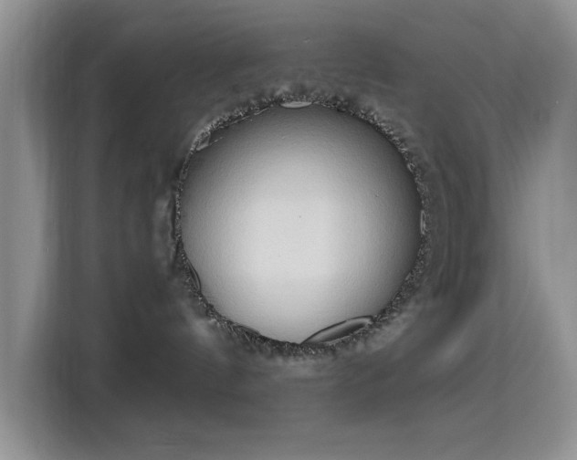 X0000115790144200911201339