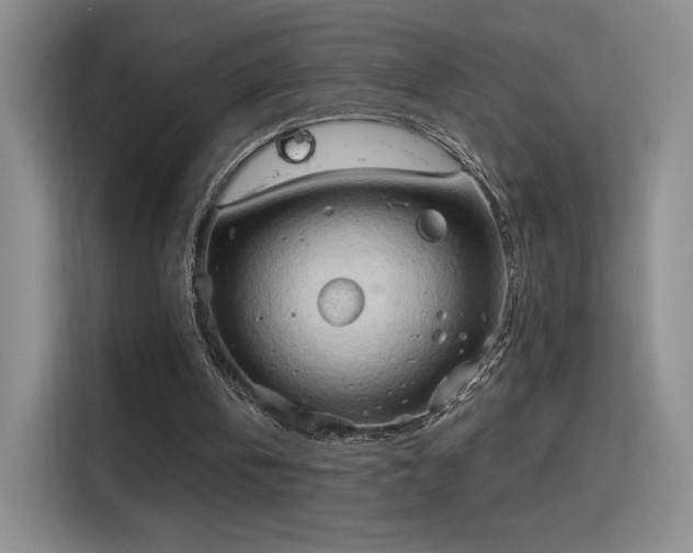 X0000115790146200911201339