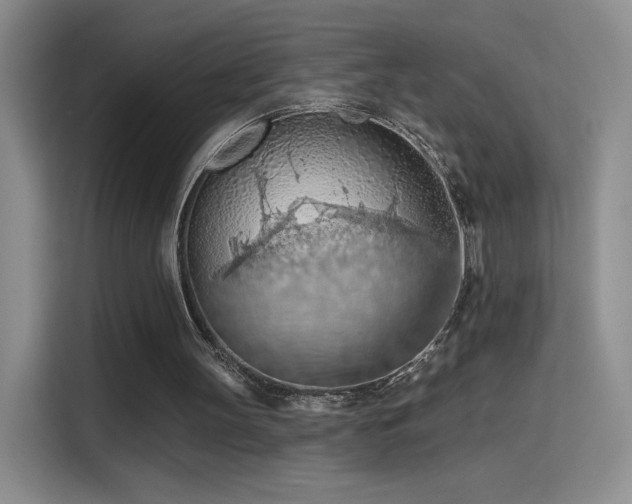 X0000115790147200911201339