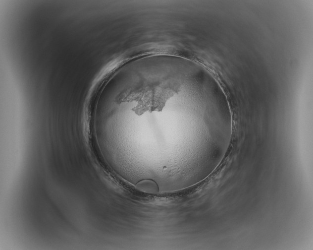 X0000115790149200911201339