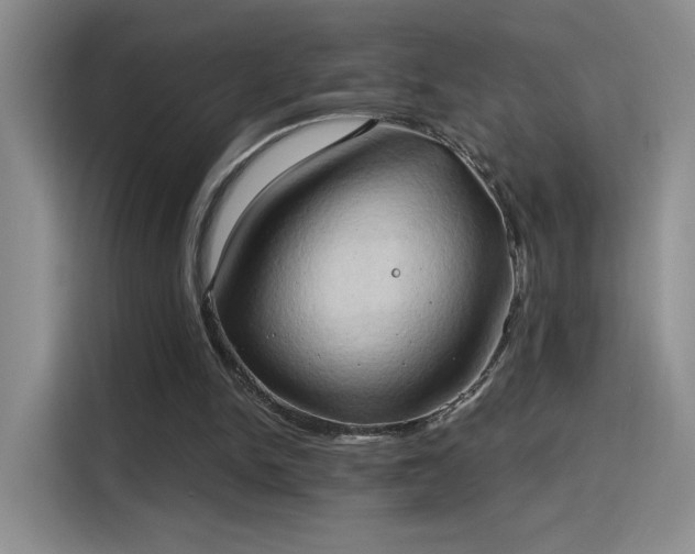 X0000115790150200911201339