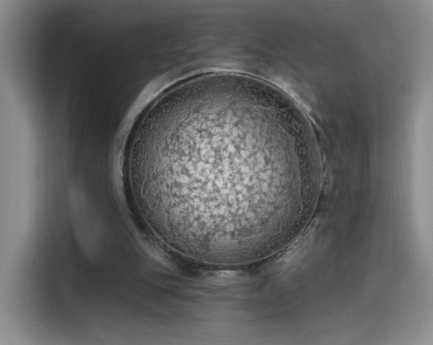 X0000115790151200911201339