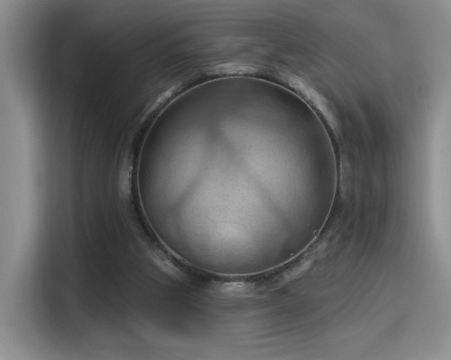 X0000115790153200911201339