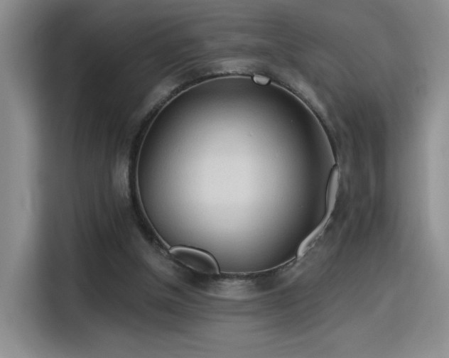 X0000115790154200911201339