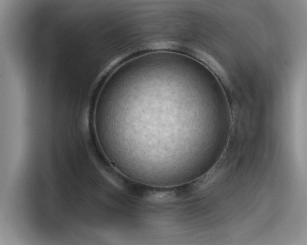 X0000115790155200911201339