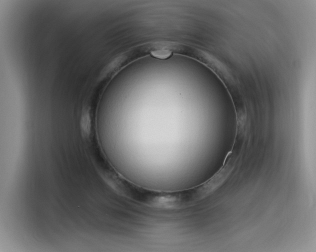 X0000115790158200911201339