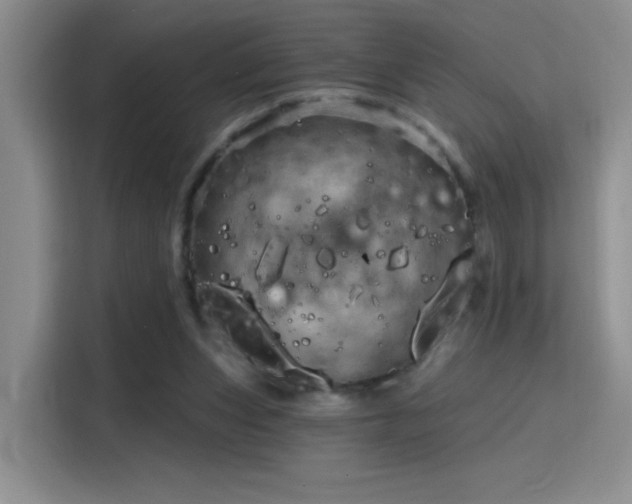 X0000115790159200911201339