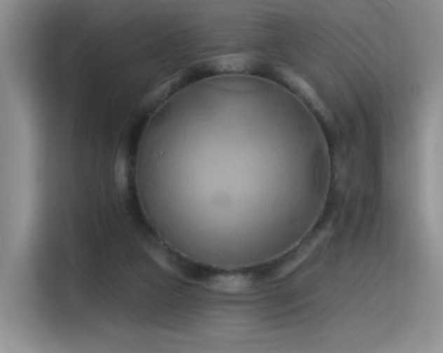 X0000115790161200911201339