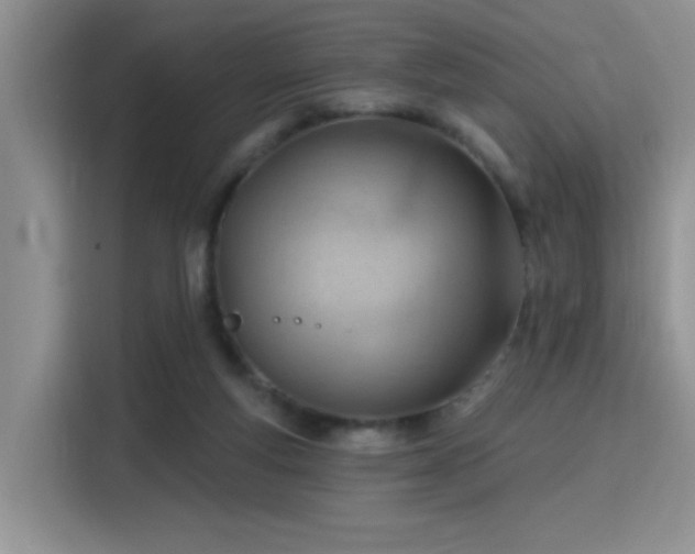 X0000115790163200911201339