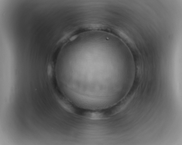 X0000115790165200911201339