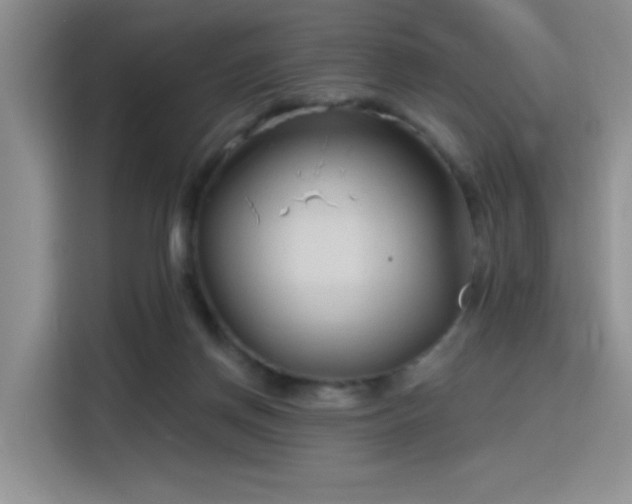 X0000115790166200911201339