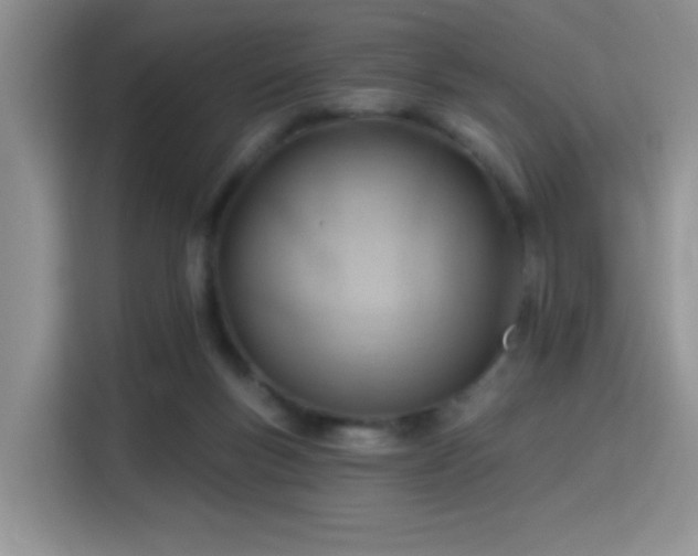 X0000115790167200911201339