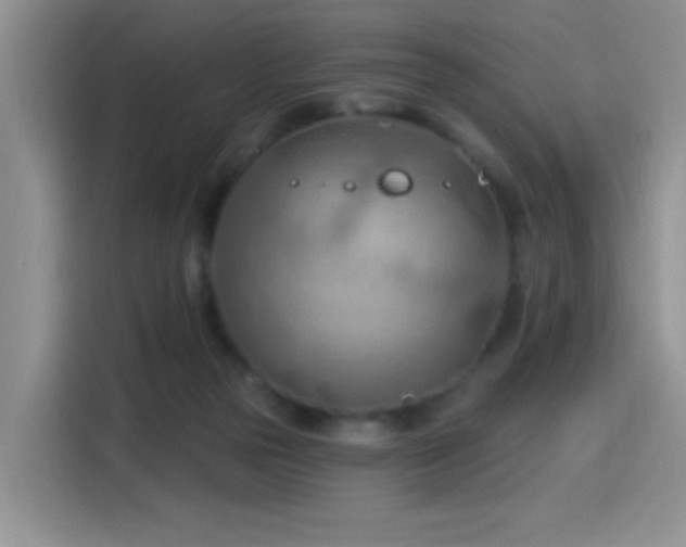 X0000115790169200911201339