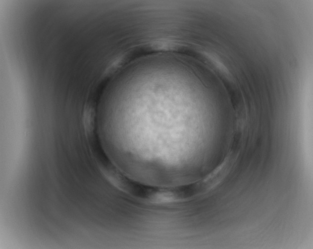 X0000115790171200911201339