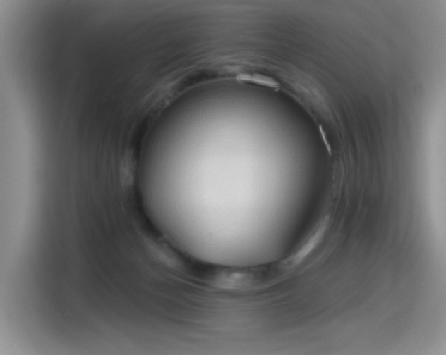 X0000115790174200911201339