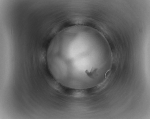 X0000115790175200911201339