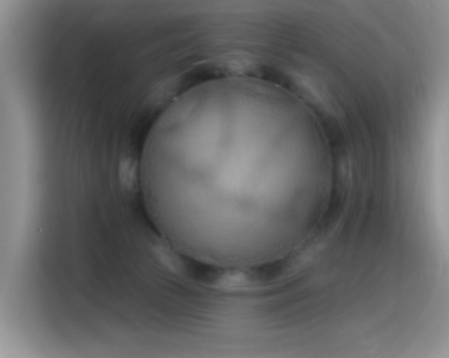 X0000115790177200911201339