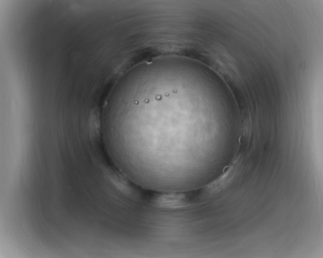 X0000115790179200911201339