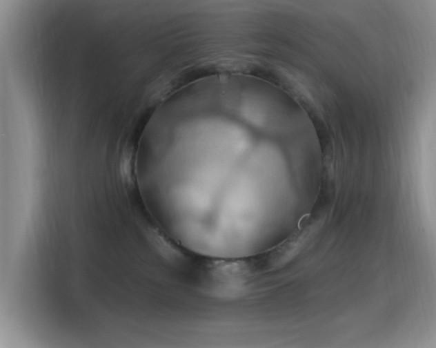 X0000115790185200911201339