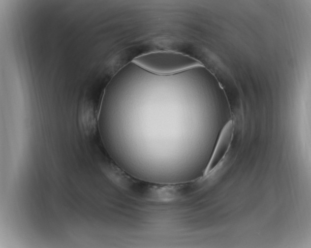 X0000115790186200911201339