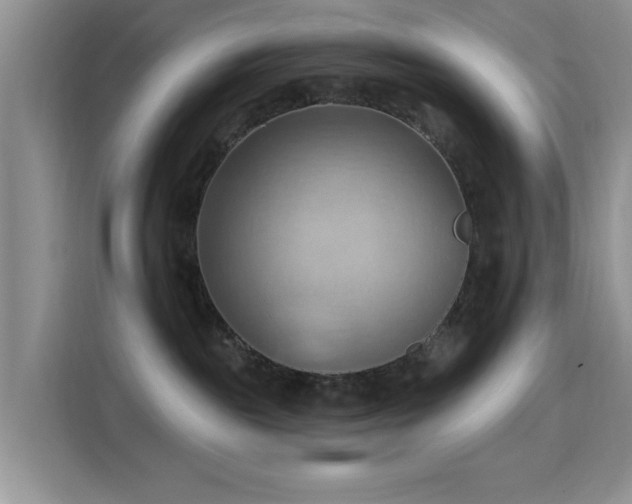 X0000115790189200911201339