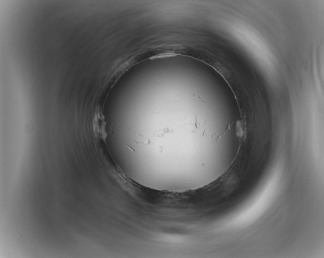 X0000115790190200911201339