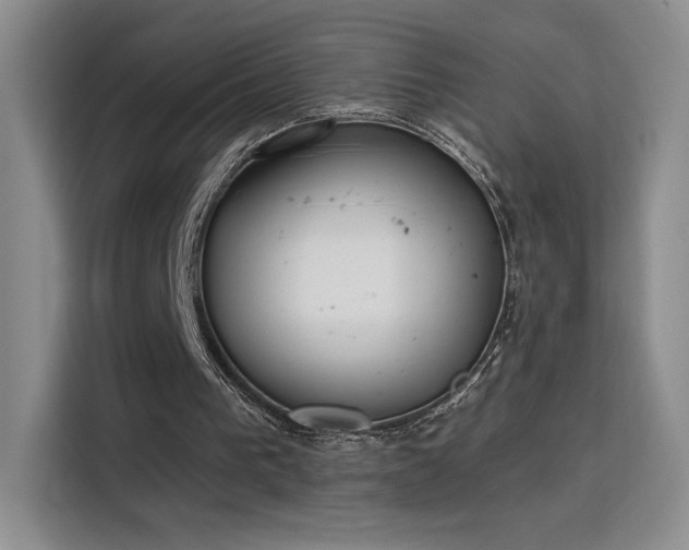 X0000115790193200911201339